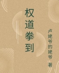 权道拳到