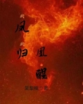 凤归凰醒