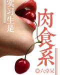 实习生是肉食系gl