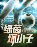 绿茵坏小子免费阅读