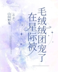 在星际被毛绒绒团宠了