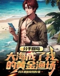 分手回岛,大海成了我的黄金渔场全本小说