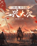 三国我真的是大反贼卡夜阁