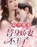 陆少强宠：替身娇妻不干了