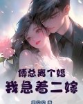傅总离个婚，我急着二嫁