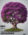 德鲁伊：自然与生命的真谛