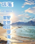人家海上讨生活，我出海去进货