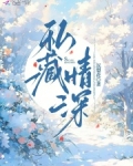 私藏情深短剧免费观看更新时间
