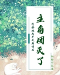悲惨炮灰不走剧情后主角团灭了
