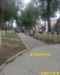 爱去跳舞的生活