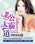 宠妻之老公太霸道