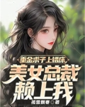 小说重金求子