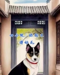 四合院：舔狗不得好死