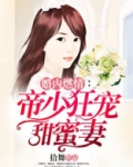 婚内燃情：帝少狂宠甜蜜妻