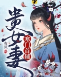 寒门首辅贵女妻