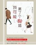 我可能离了个假婚